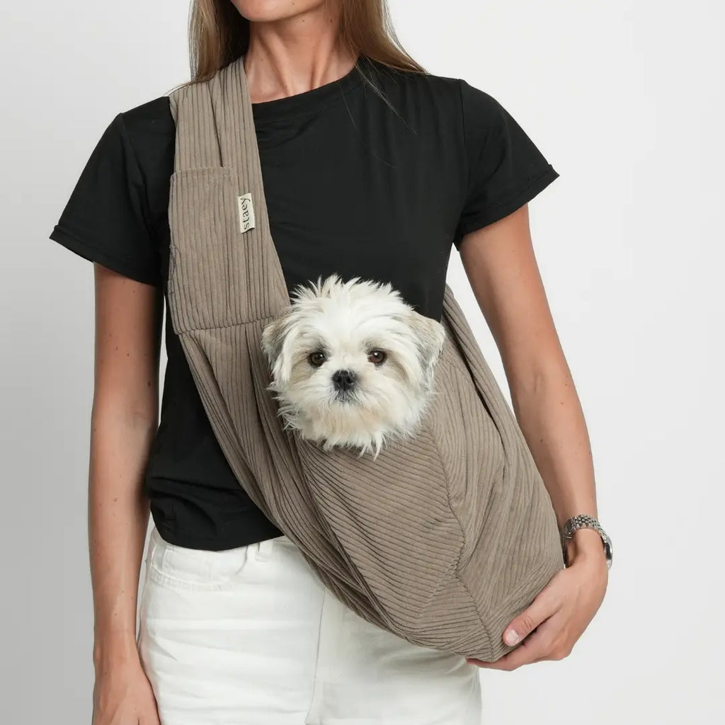 Ava Hundetragetasche | Cord