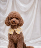 CAFIDE Bandana-Halsband Lola Vichy-Muster Gelb