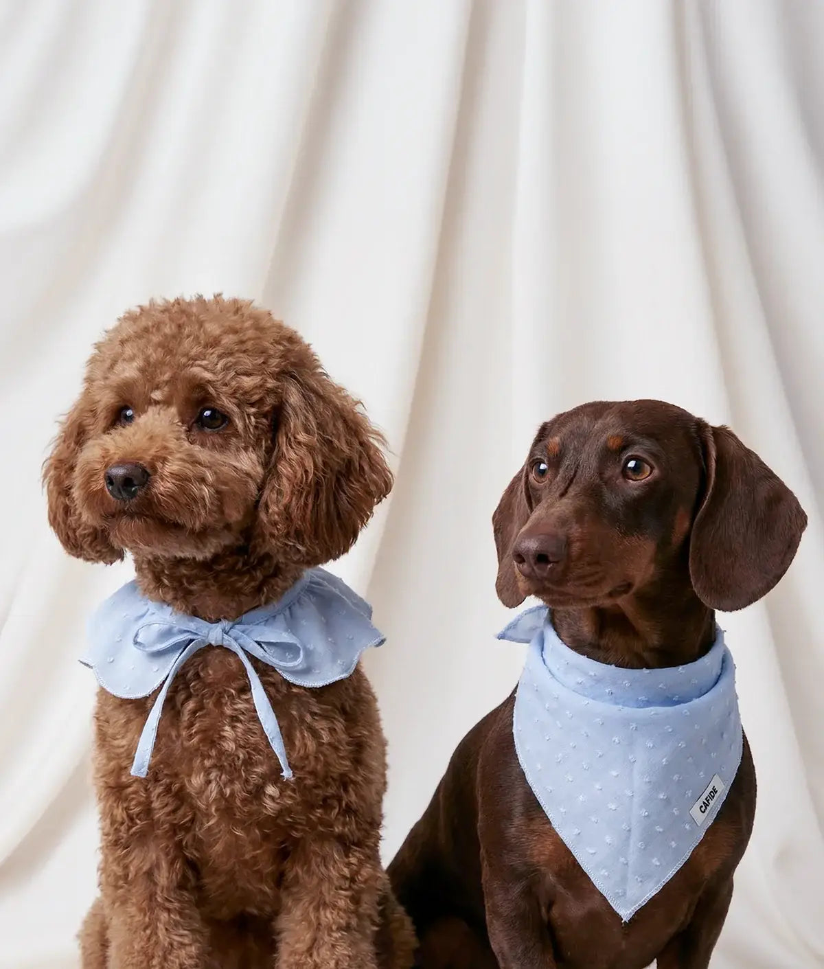 CAFIDE Bandana-Halsband Lola Plumeti Blau