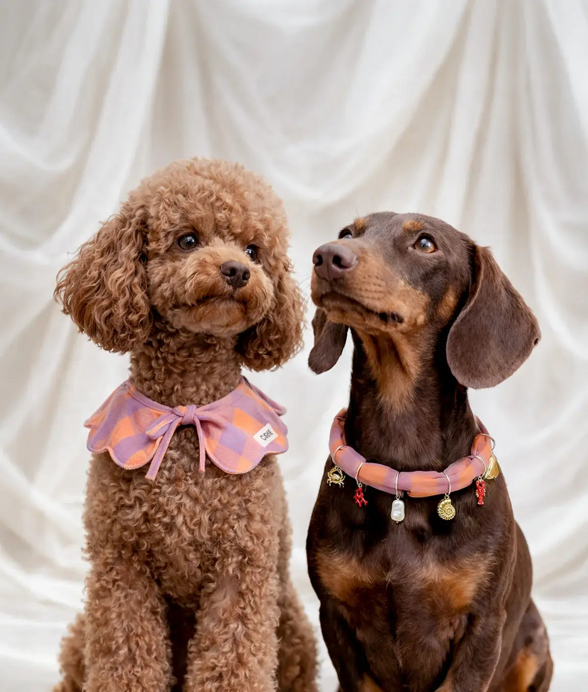 CAFIDE Bandana-Halsband Lola Vichy Violett