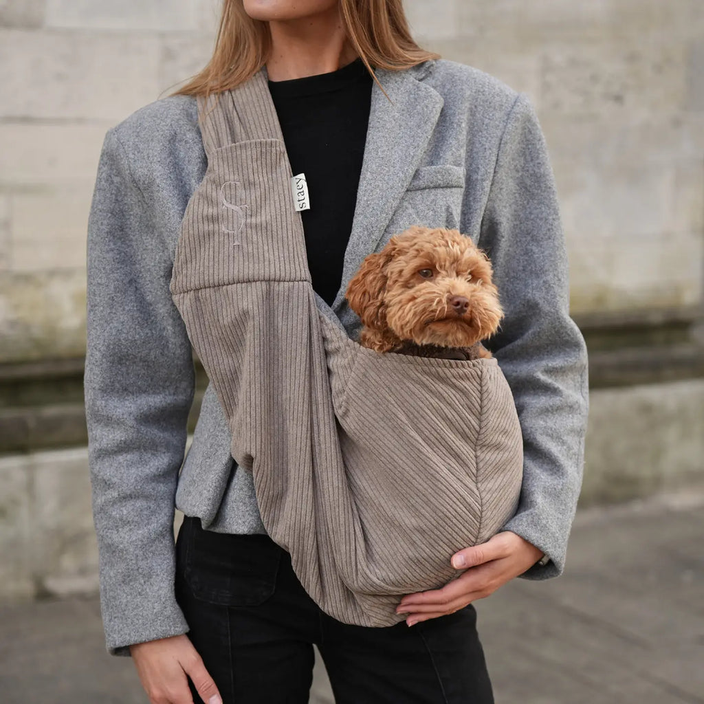 Ava Hundetragetasche | Cord