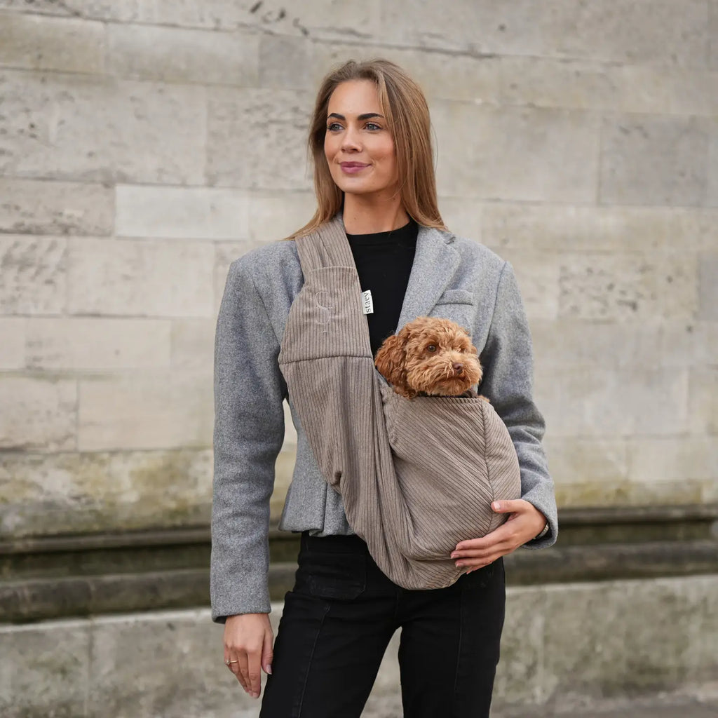 Ava Hundetragetasche | Cord
