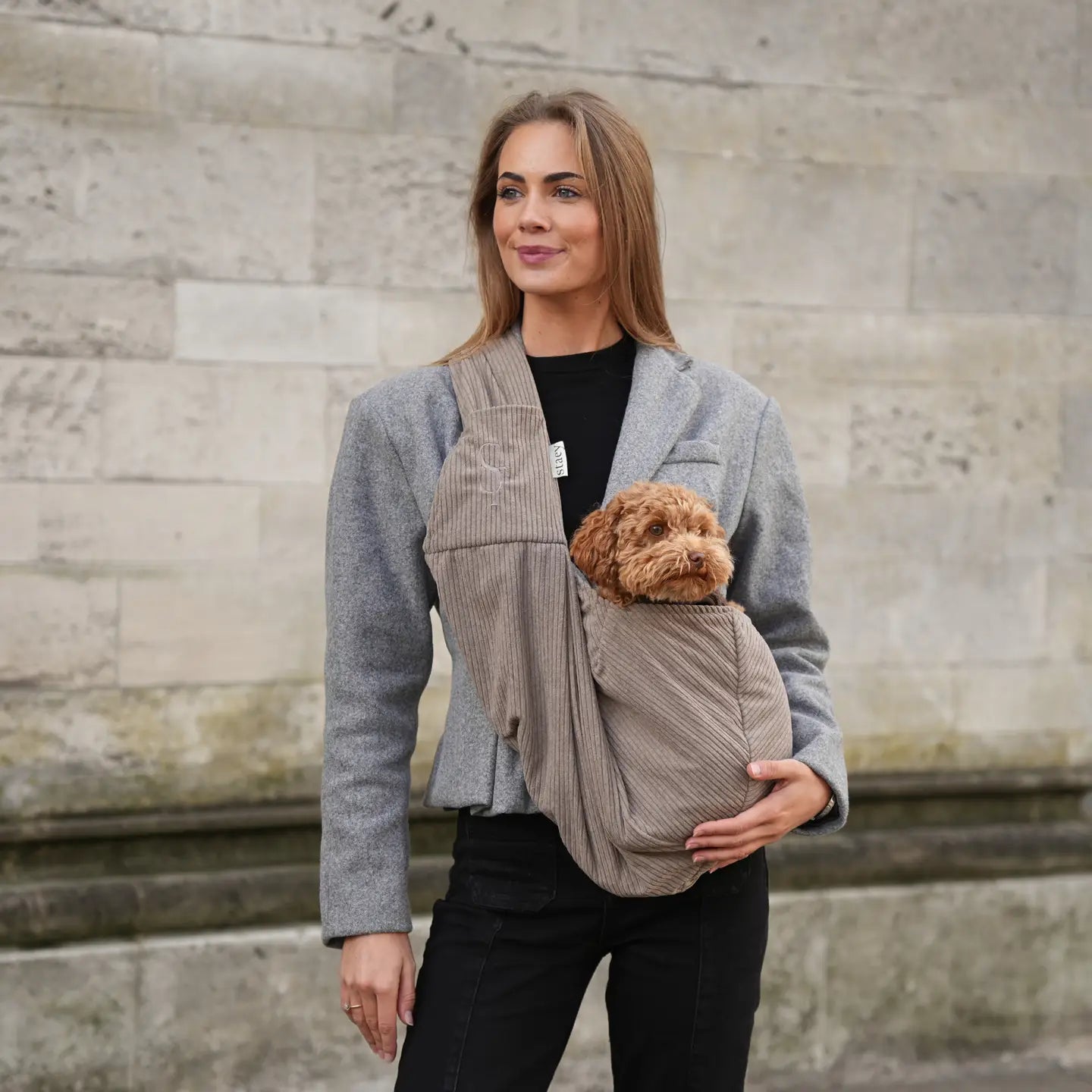 Ava Hundetragetasche | Cord